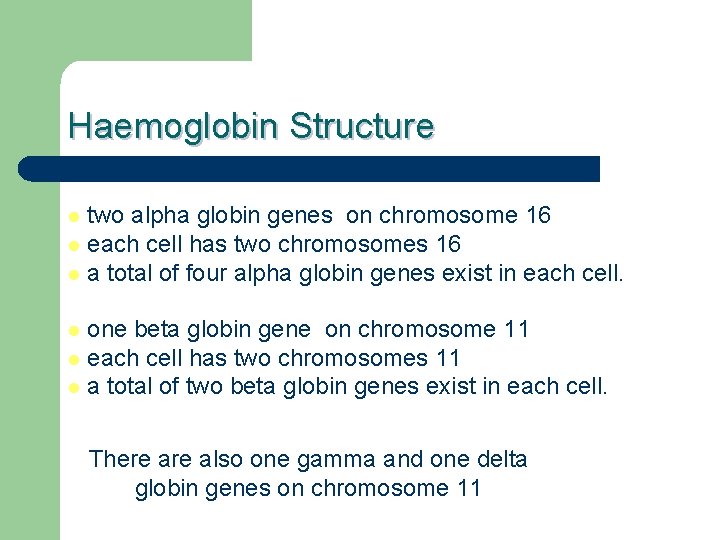 Haemoglobin Structure two alpha globin genes on chromosome 16 l each cell has two
