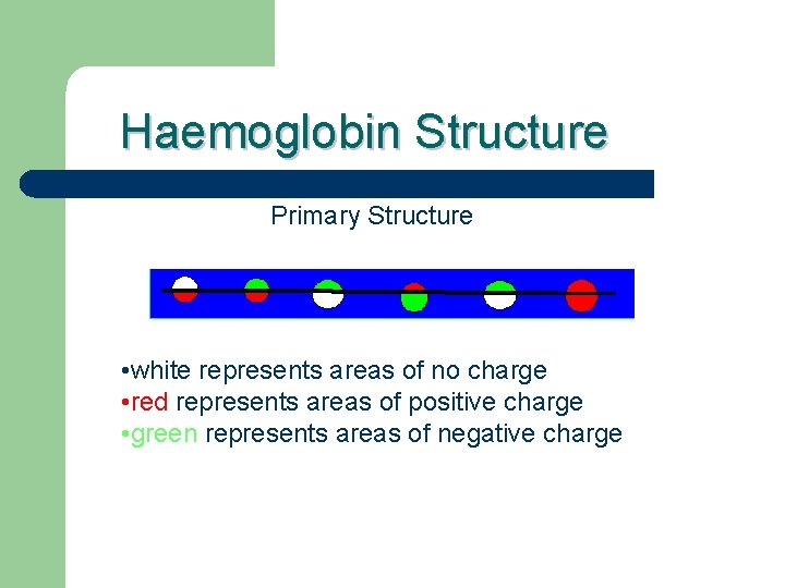 Haemoglobin Structure Primary Structure • white represents areas of no charge • red represents