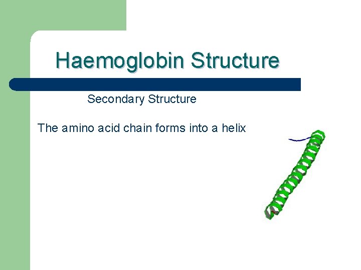 Haemoglobin Structure Secondary Structure The amino acid chain forms into a helix 