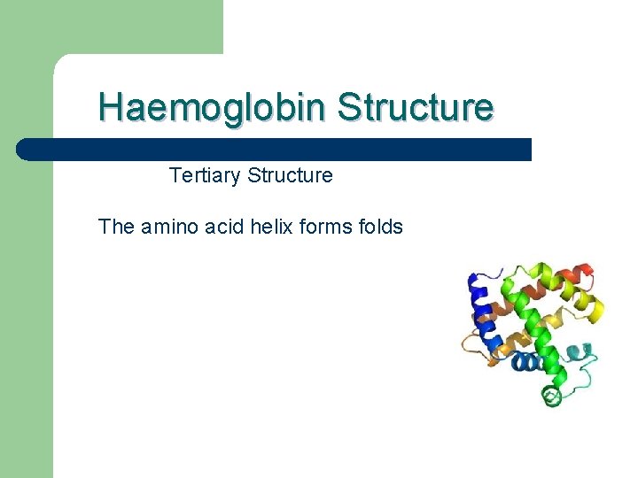 Haemoglobin Structure Tertiary Structure The amino acid helix forms folds 