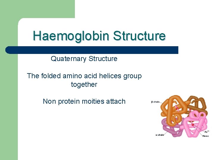 Haemoglobin Structure Quaternary Structure The folded amino acid helices group together Non protein moities