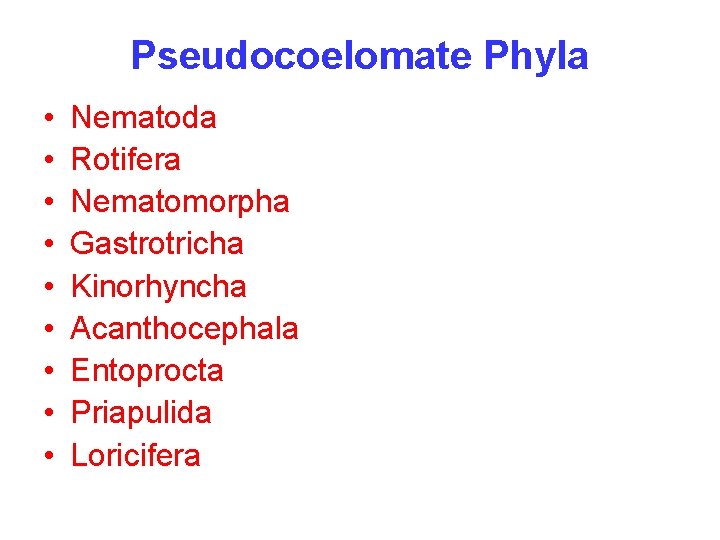 Pseudocoelomate Phyla • • • Nematoda Rotifera Nematomorpha Gastrotricha Kinorhyncha Acanthocephala Entoprocta Priapulida Loricifera