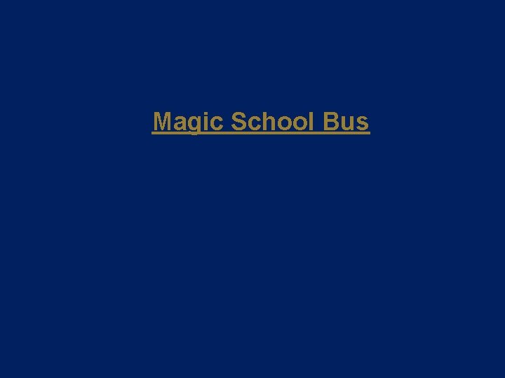 Magic School Bus 