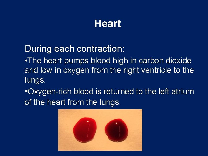 Heart During each contraction: • The heart pumps blood high in carbon dioxide and