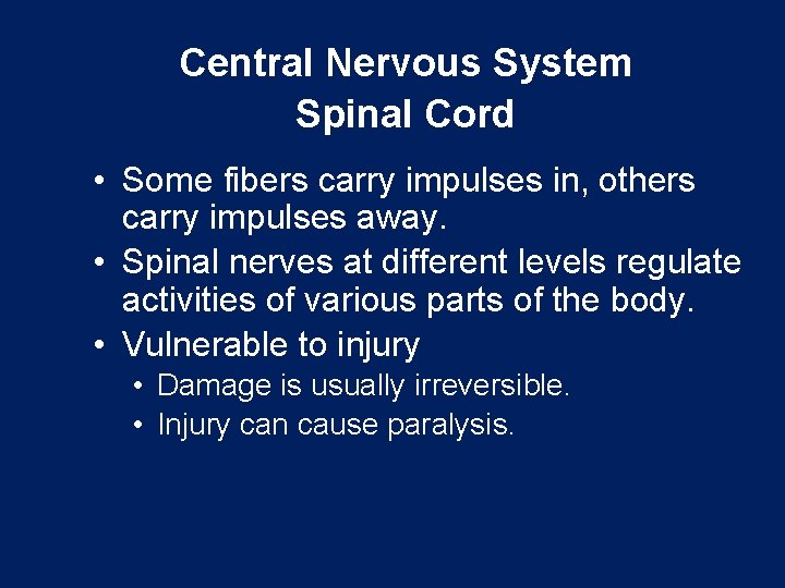Central Nervous System Spinal Cord • Some fibers carry impulses in, others carry impulses