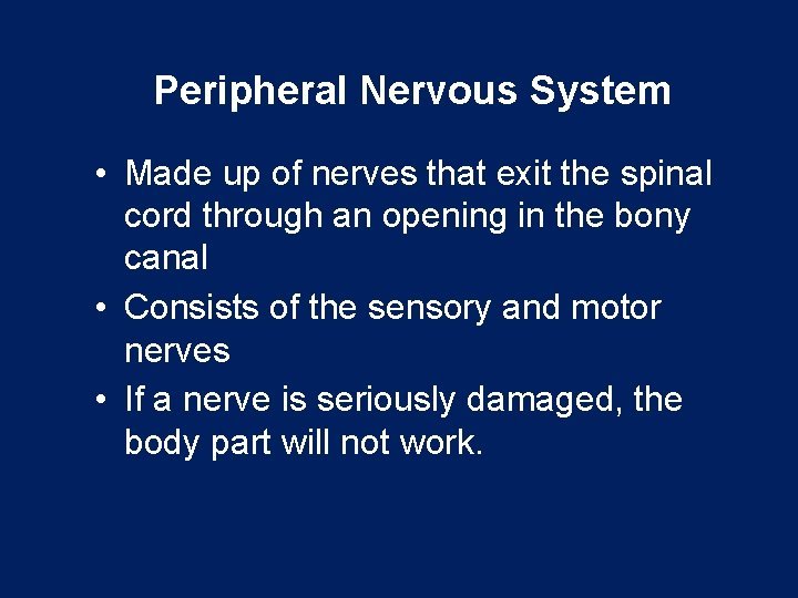 Peripheral Nervous System • Made up of nerves that exit the spinal cord through