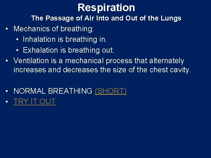 Respiration The Passage of Air Into and Out of the Lungs • Mechanics of