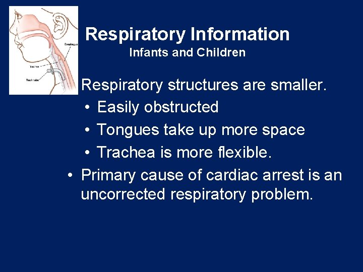 Respiratory Information Infants and Children • Respiratory structures are smaller. • Easily obstructed •