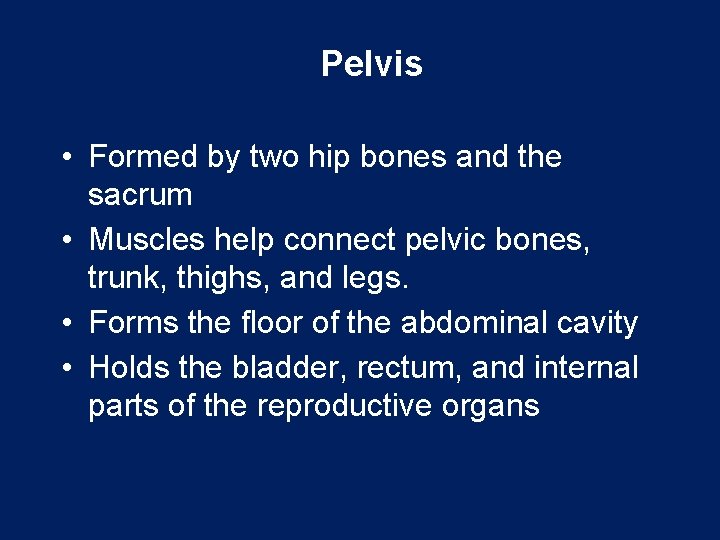 Pelvis • Formed by two hip bones and the sacrum • Muscles help connect