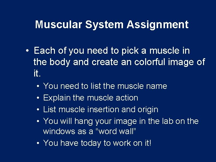 Muscular System Assignment • Each of you need to pick a muscle in the