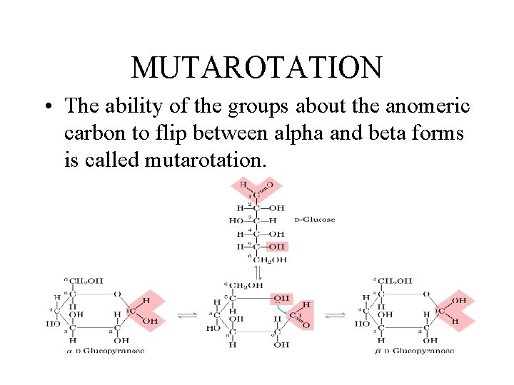 MUTAROTATION • The ability of the groups about the anomeric carbon to flip between