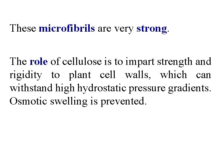 These microfibrils are very strong. The role of cellulose is to impart strength and