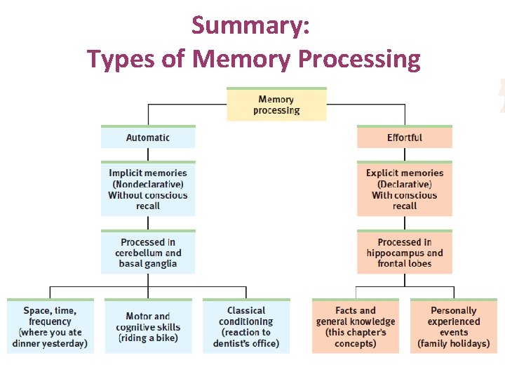 Summary: Types of Memory Processing 