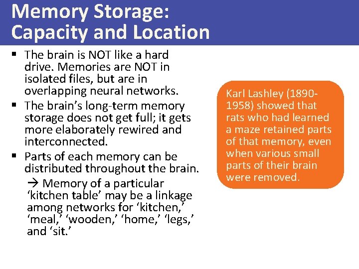 Memory Storage: Capacity and Location § The brain is NOT like a hard drive.