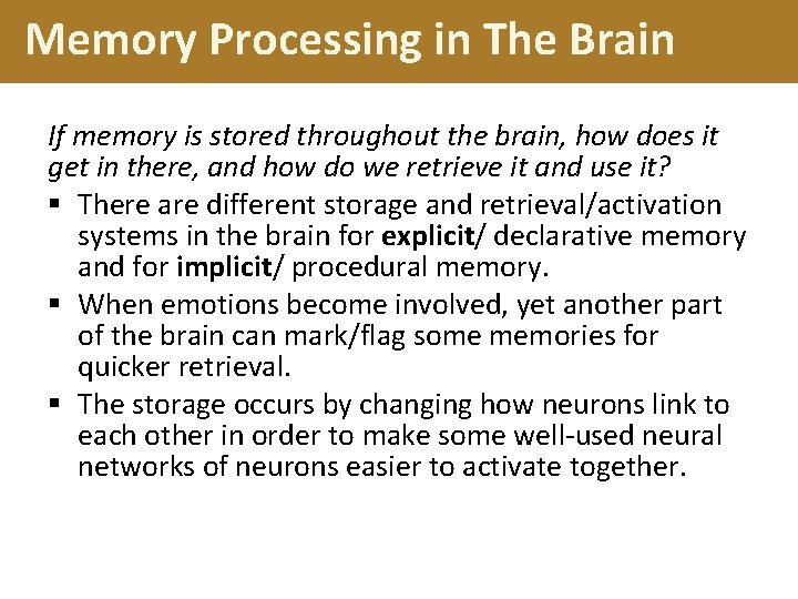 Memory Processing in The Brain If memory is stored throughout the brain, how does