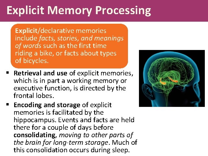 Explicit Memory Processing Explicit/declarative memories include facts, stories, and meanings of words such as