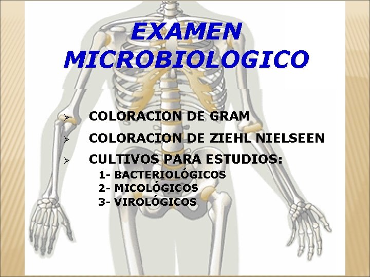 EXAMEN MICROBIOLOGICO Ø COLORACION DE GRAM Ø COLORACION DE ZIEHL NIELSEEN Ø CULTIVOS PARA