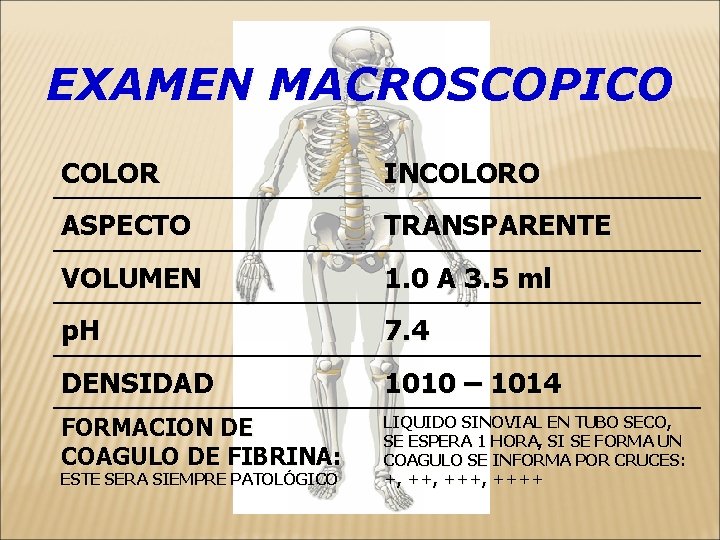 EXAMEN MACROSCOPICO COLOR INCOLORO ASPECTO TRANSPARENTE VOLUMEN 1. 0 A 3. 5 ml p.