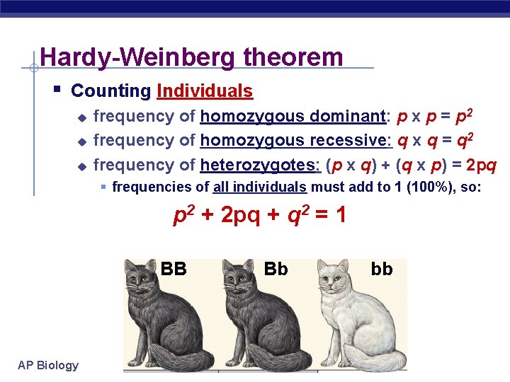 Hardy-Weinberg theorem § Counting Individuals u u u frequency of homozygous dominant: p x