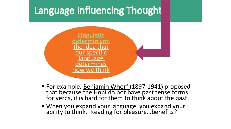 Language Influencing Thought Linguistic determinism: the idea that our specific language determines how we Language Influencing Thought Linguistic determinism: the idea that our specific language determines how we