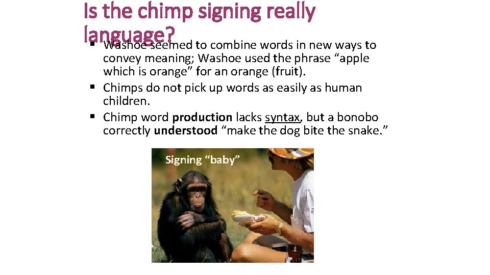 Is the chimp signing really language? § Washoe seemed to combine words in new Is the chimp signing really language? § Washoe seemed to combine words in new
