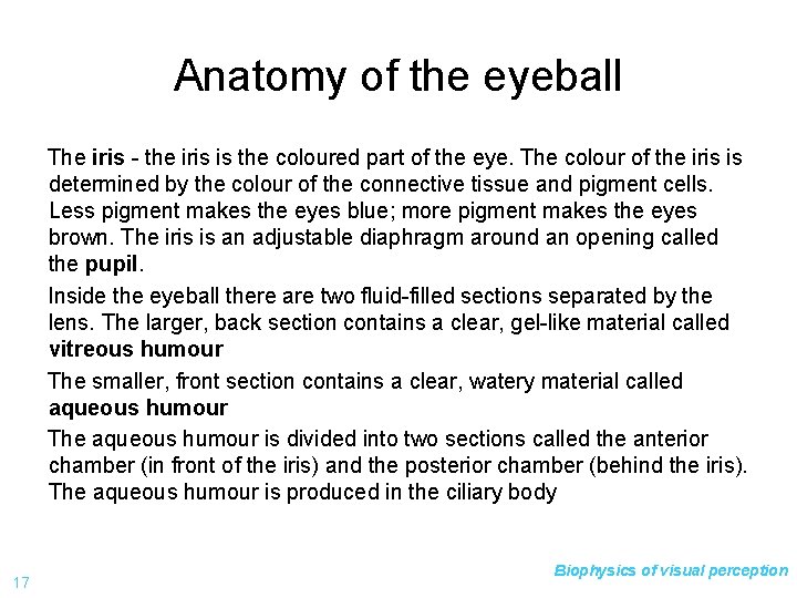 Anatomy of the eyeball The iris - the iris is the coloured part of