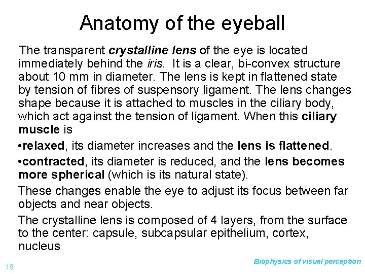 Anatomy of the eyeball The transparent crystalline lens of the eye is located immediately
