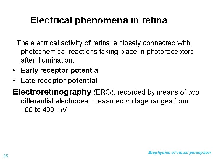 Electrical phenomena in retina The electrical activity of retina is closely connected with photochemical