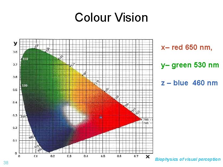 Colour Vision x– red 650 nm, y– green 530 nm z – blue 460