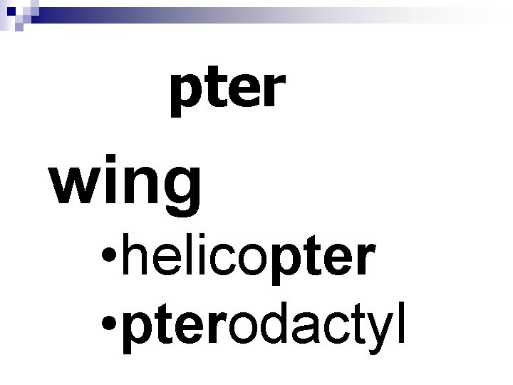 pter wing • helicopter • pterodactyl 