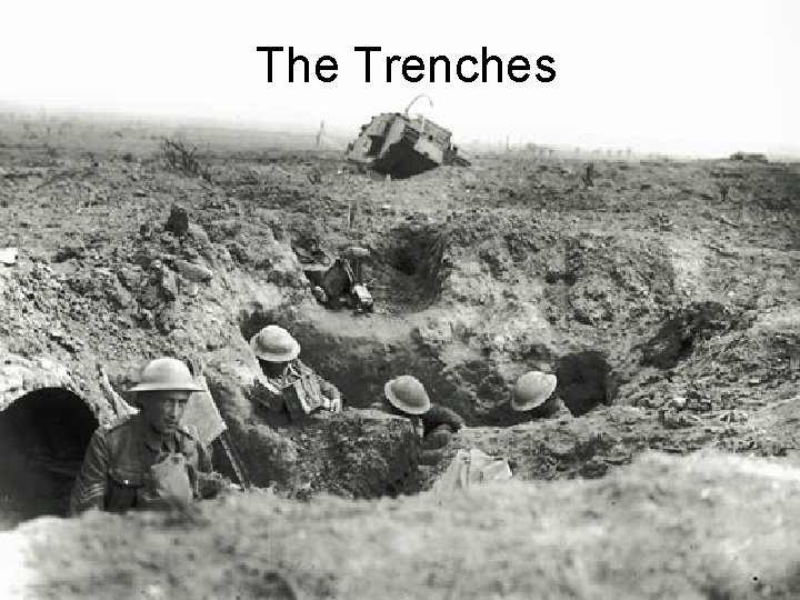 The Trenches 