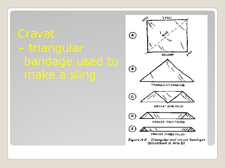 Cravat – triangular bandage used to make a sling 