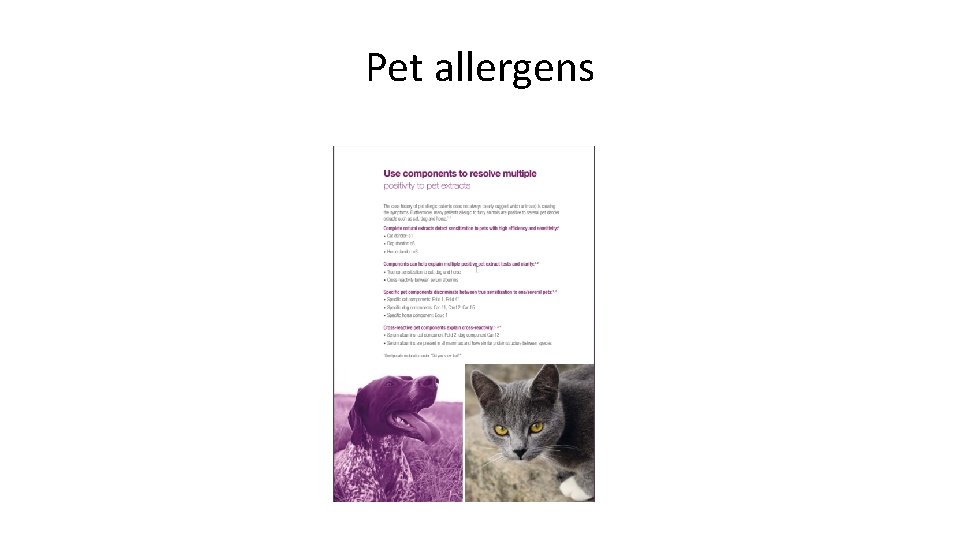 Pet allergens 