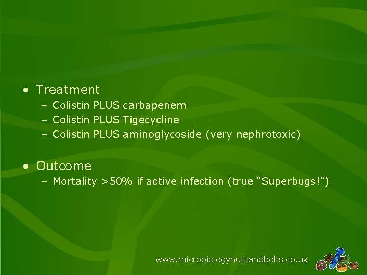  • Treatment – Colistin PLUS carbapenem – Colistin PLUS Tigecycline – Colistin PLUS