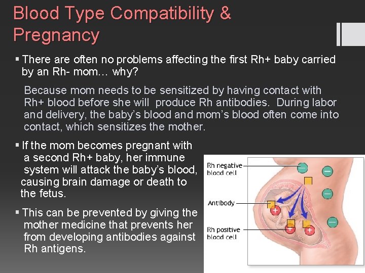 Blood Type Compatibility & Pregnancy § There are often no problems affecting the first