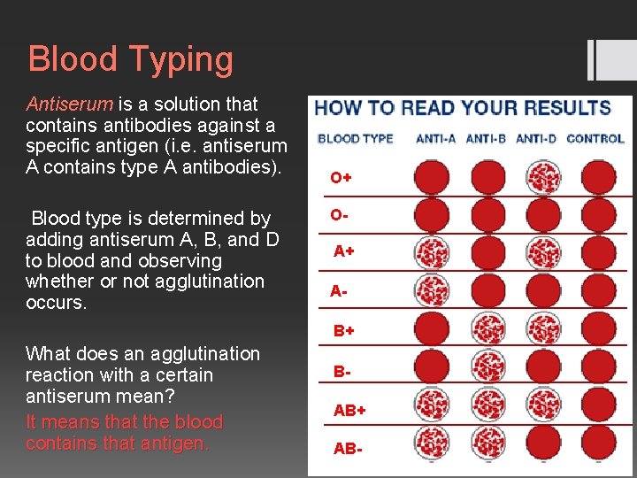 Blood Typing Antiserum is a solution that contains antibodies against a specific antigen (i.