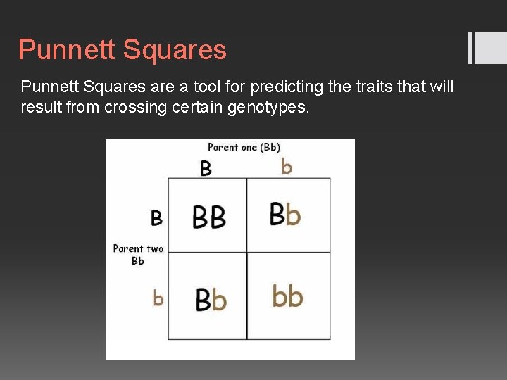 Punnett Squares are a tool for predicting the traits that will result from crossing