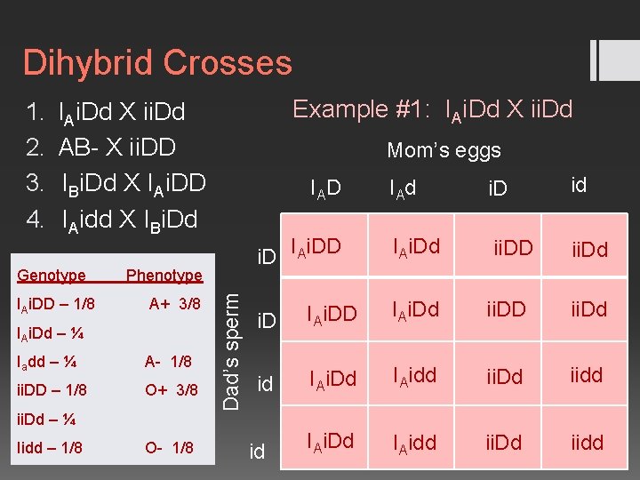 Dihybrid Crosses Example #1: IAi. Dd X ii. Dd AB- X ii. DD IBi.