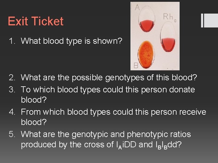 Exit Ticket 1. What blood type is shown? 2. What are the possible genotypes