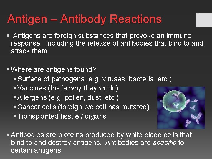 Antigen – Antibody Reactions § Antigens are foreign substances that provoke an immune response,