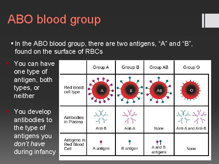 ABO blood group § In the ABO blood group, there are two antigens, “A”