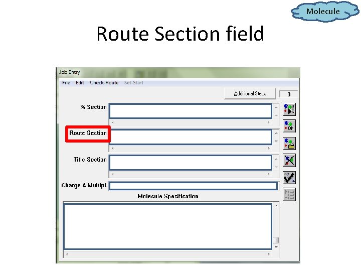 Molecule Route Section field 