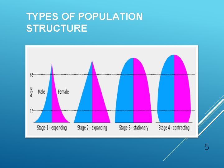 TYPES OF POPULATION STRUCTURE 5 