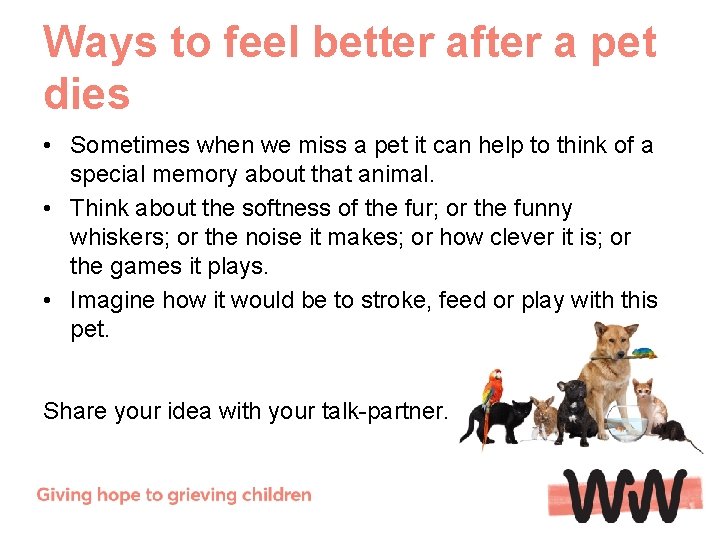 Ways to feel better after a pet dies • Sometimes when we miss a