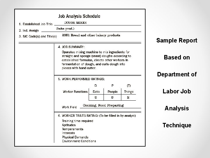 Sample Report Based on Department of Labor Job Analysis Technique 