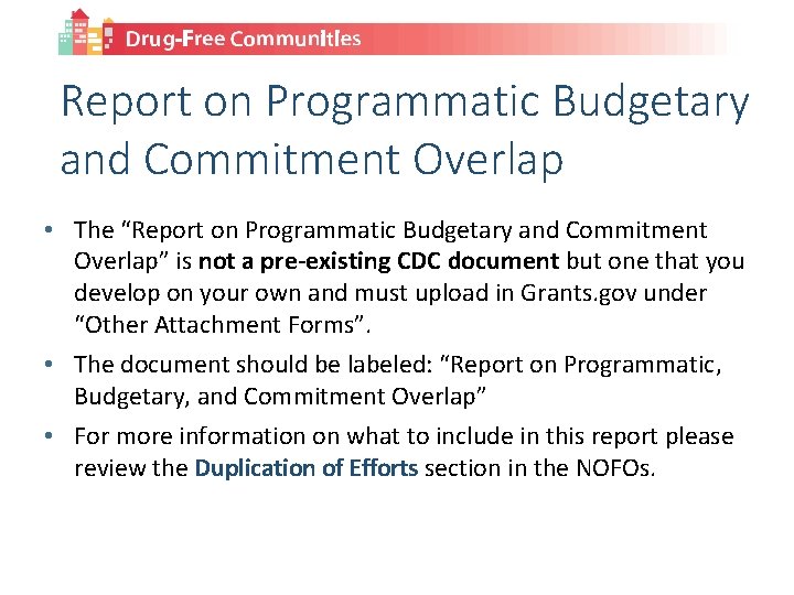 Report on Programmatic Budgetary and Commitment Overlap • The “Report on Programmatic Budgetary and
