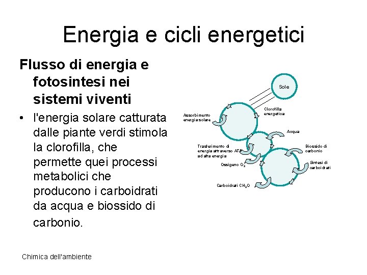 Energia e cicli energetici Flusso di energia e fotosintesi nei sistemi viventi • l'energia