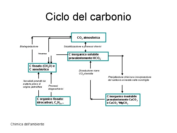 Ciclo del carbonio CO 2 atmosferica Biodegradazione Solubilizzazione e processi chimici Fotosintesi C inorganico