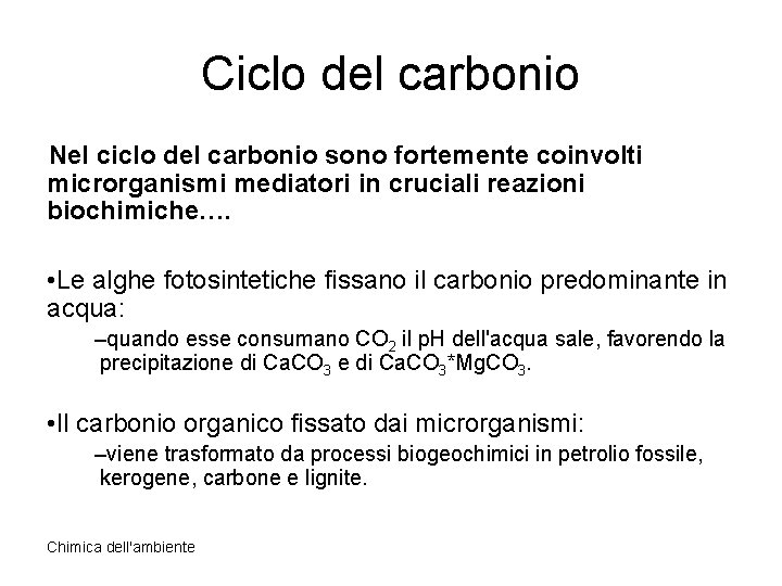 Ciclo del carbonio Nel ciclo del carbonio sono fortemente coinvolti microrganismi mediatori in cruciali