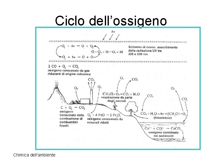 Ciclo dell’ossigeno Chimica dell'ambiente 